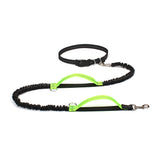 Retractable Hands Free Leash For Running