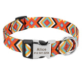 Fashion Custom Dog Collar