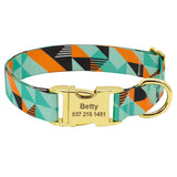 Fashion Custom Dog Collar