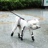 Small Dog Raincoat