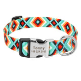 Fashion Custom Dog Collar