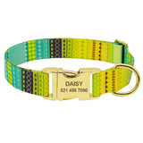 Fashion Custom Dog Collar