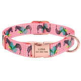 Fashion Custom Dog Collar