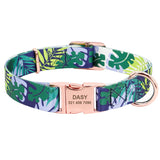 Fashion Custom Dog Collar