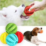 Interactive Rubber Balls for Dog