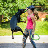 Flying Discs Training Dog